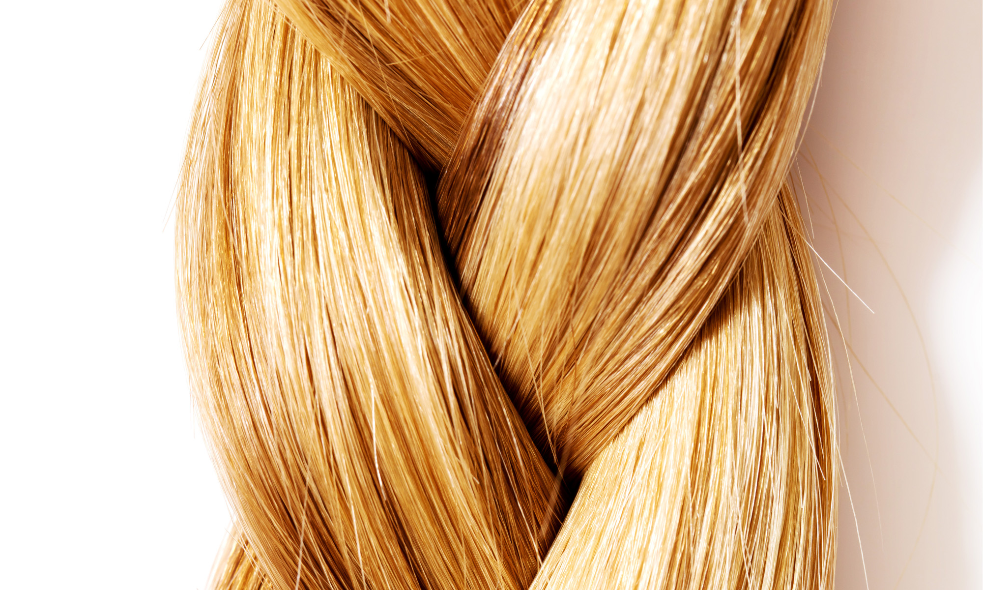 Decorative image - Braided hair against a white background - Heading for Hair section